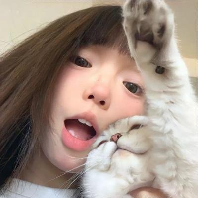 纽约鼠患 海报
