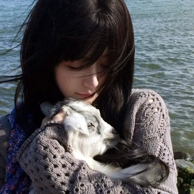 但愿人长久 海报